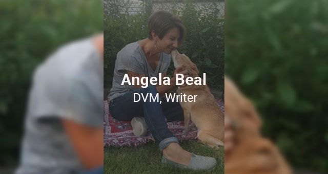 Angela Beal, DVM