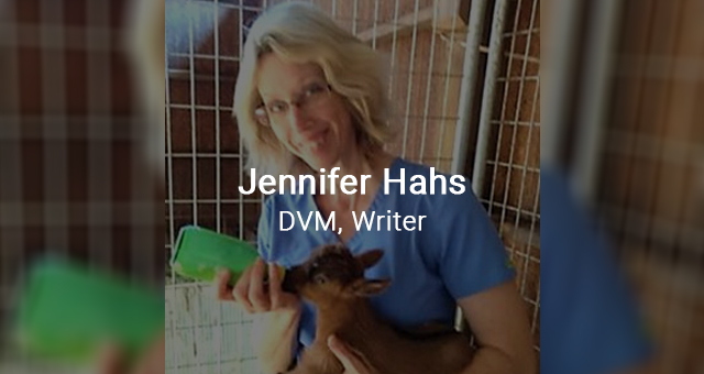 Jennifer Hahs, DVM