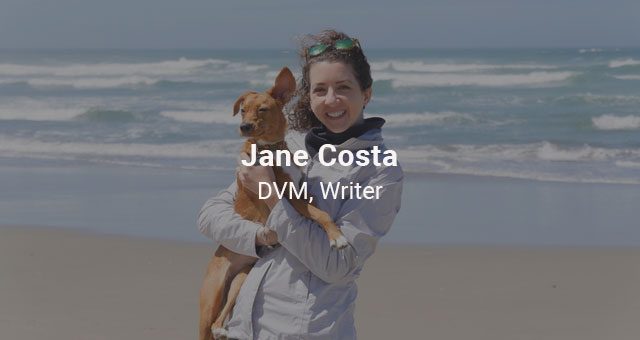 Jane Costa, DVM