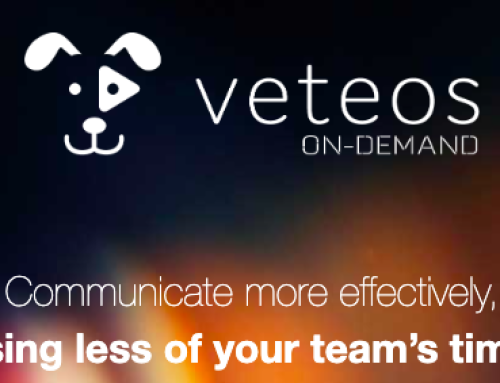 Meet Veteos: Your Veterinary Video Solution