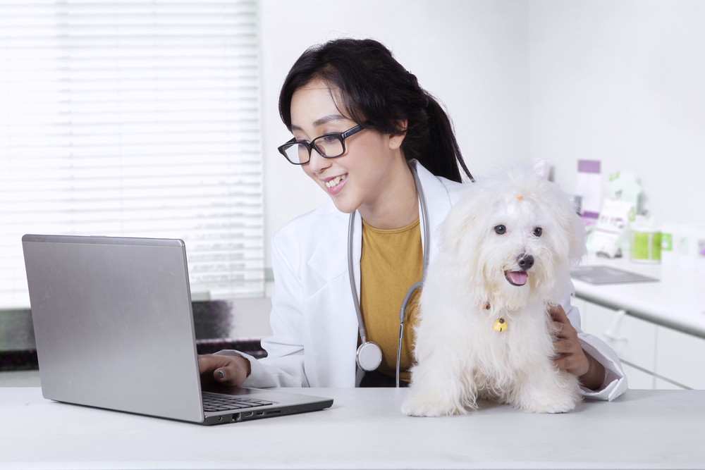 Woman and dog at laptop