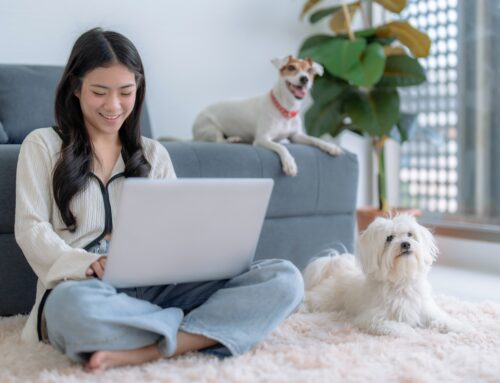 SEO for Veterinary Practices: How to Be Found Online in 2025