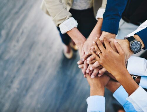Stronger Together: Why Collaboration and Teamwork Matter in Veterinary Medicine