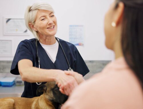 4 Fresh Ways to Attract Veterinary Clients
