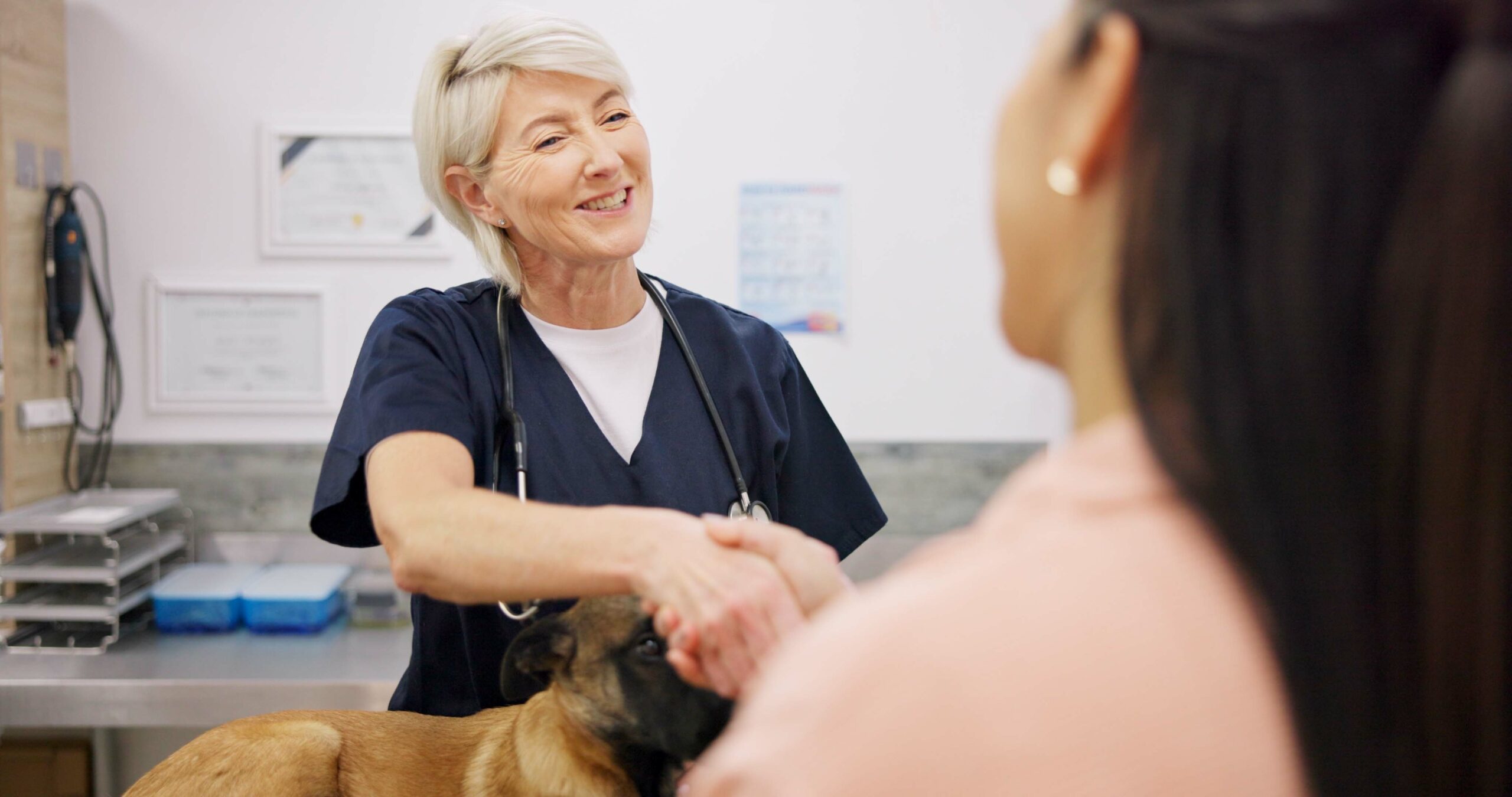 Female veterinarian shakes hands with a young female client